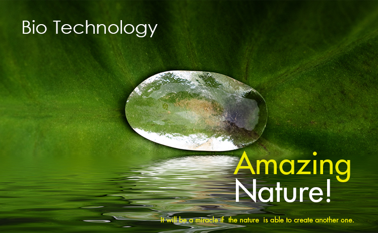 Bio Technology, Amazing Nature, It will be a miracle if the nature is able to create anither one.