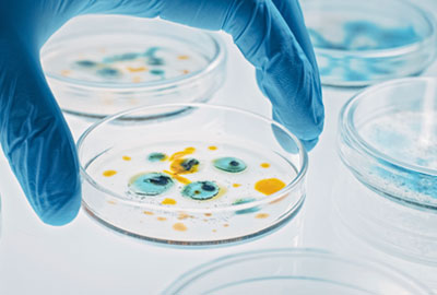 뉴스기사 메인이미지